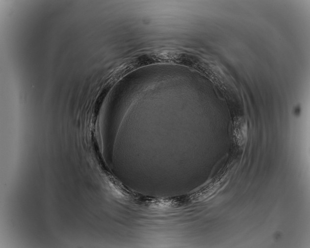 X0000099290235200805090938