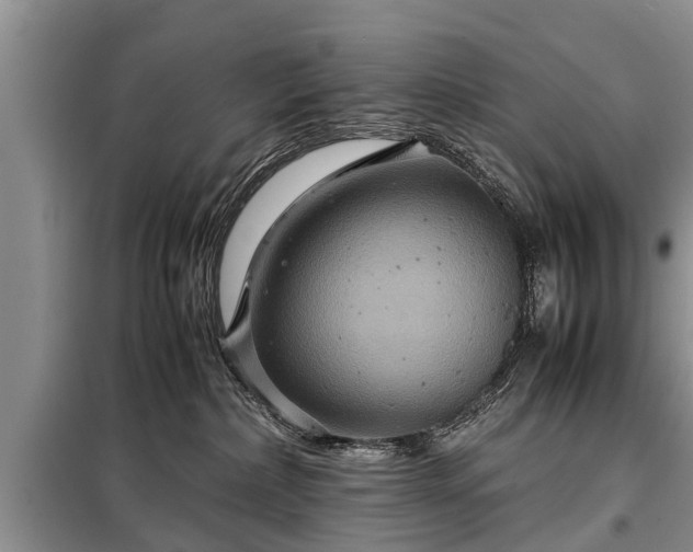 X0000099290236200805090938
