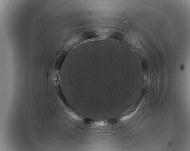 X0000099290237200805090938