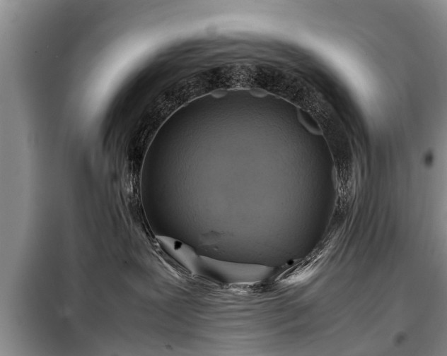 X0000099290239200805090938