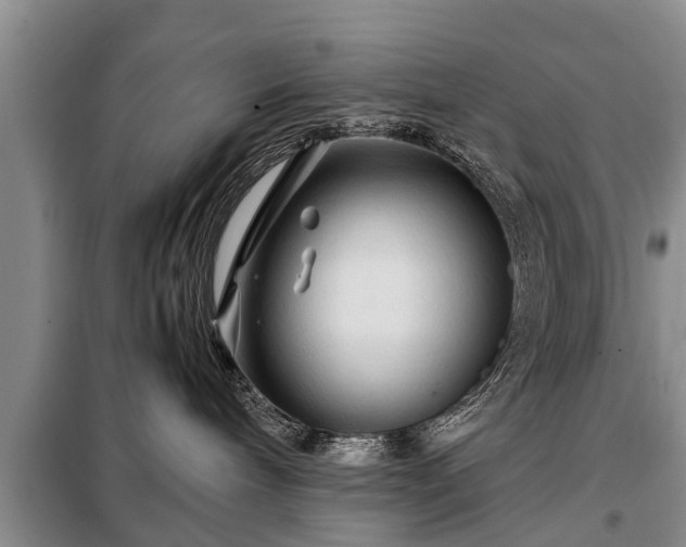 X0000099290240200805090938