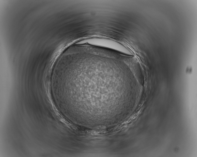 X0000099290241200805090937