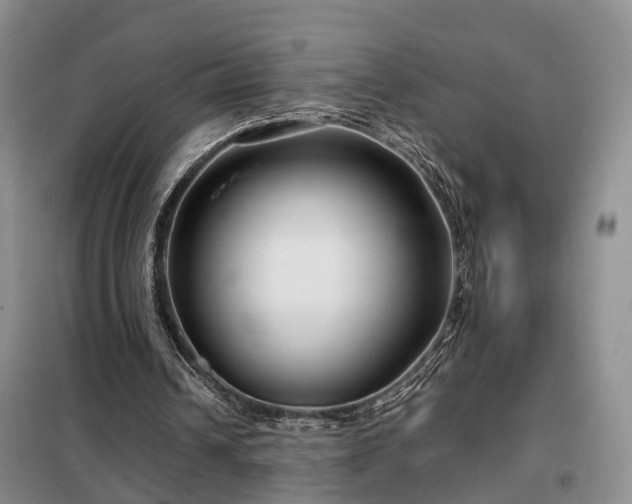 X0000099290242200805090937