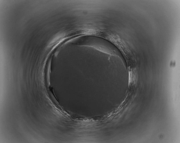 X0000099290243200805090937