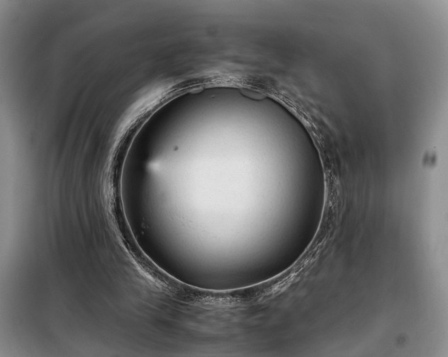 X0000099290245200805090937