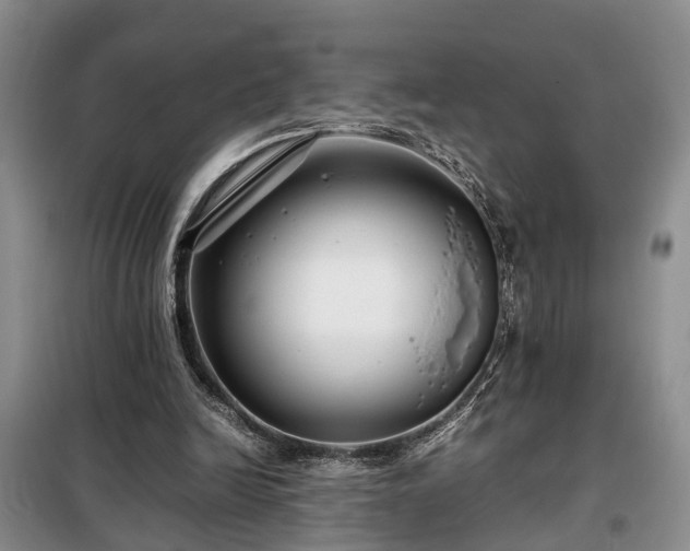 X0000099290246200805090937