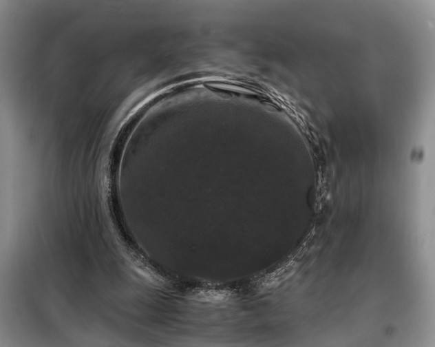 X0000099290247200805090937