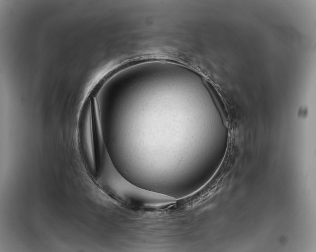 X0000099290248200805090937