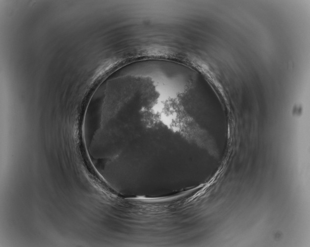 X0000099290249200805090937