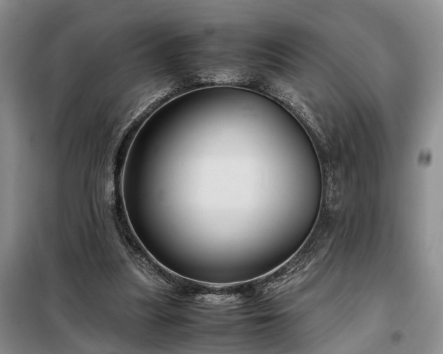 X0000099290251200805090937