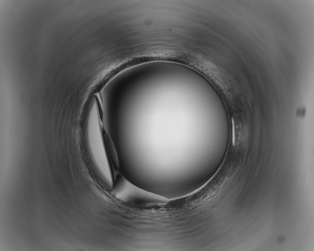 X0000099290252200805090937