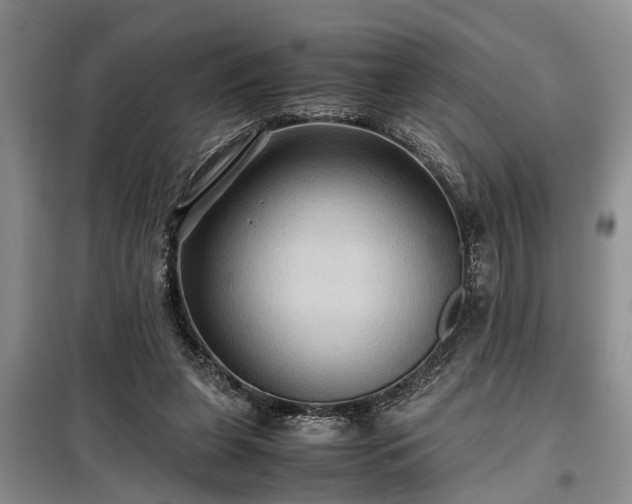 X0000099290255200805090937