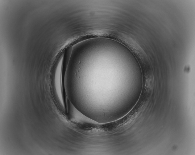 X0000099290256200805090937