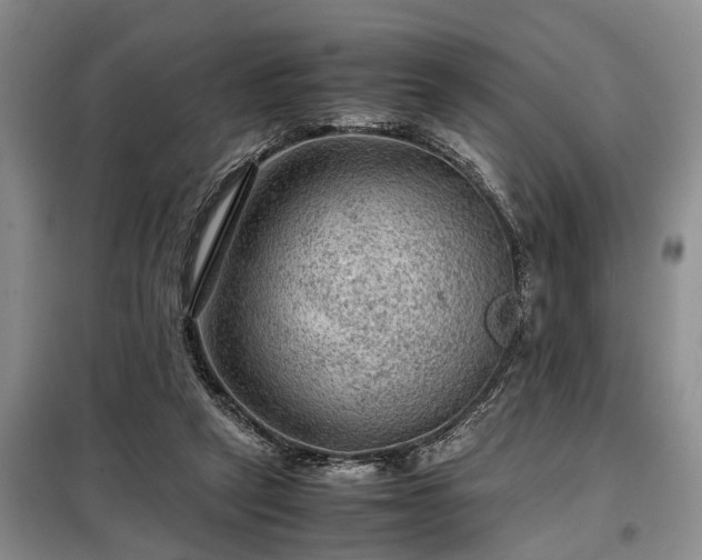X0000099290257200805090937