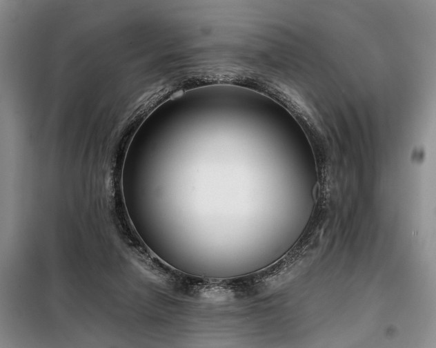 X0000099290258200805090937