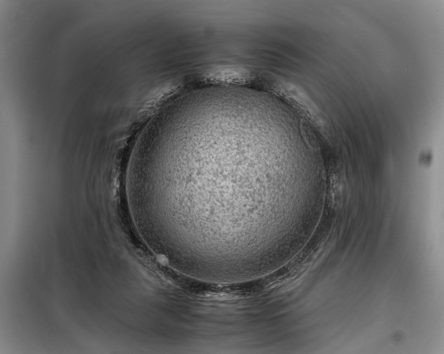 X0000099290259200805090937