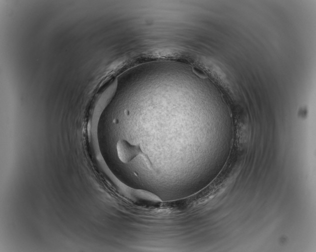X0000099290260200805090937