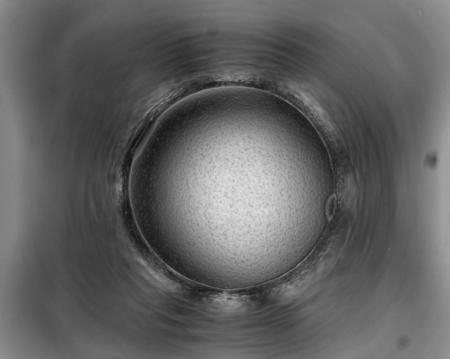 X0000099290261200805090937