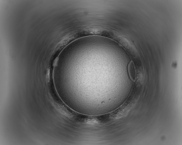 X0000099290262200805090937