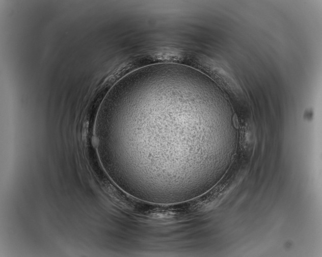 X0000099290263200805090937