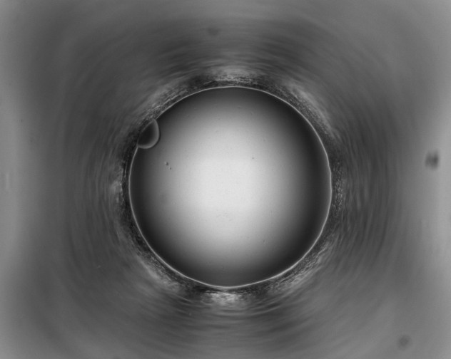 X0000099290265200805090937
