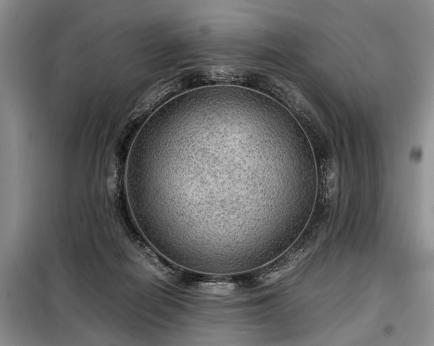 X0000099290266200805090937