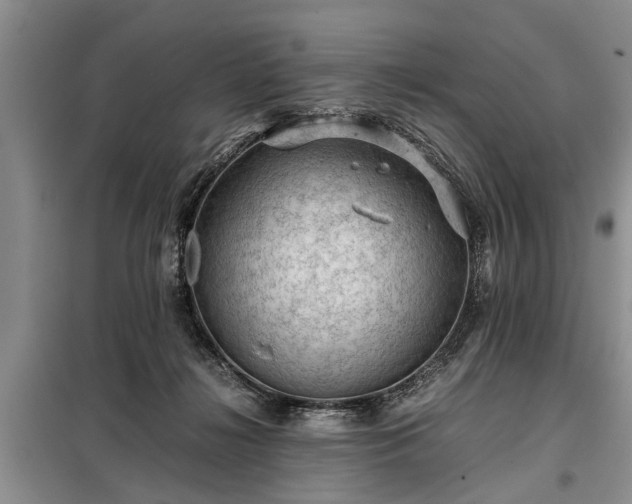 X0000099290268200805090938