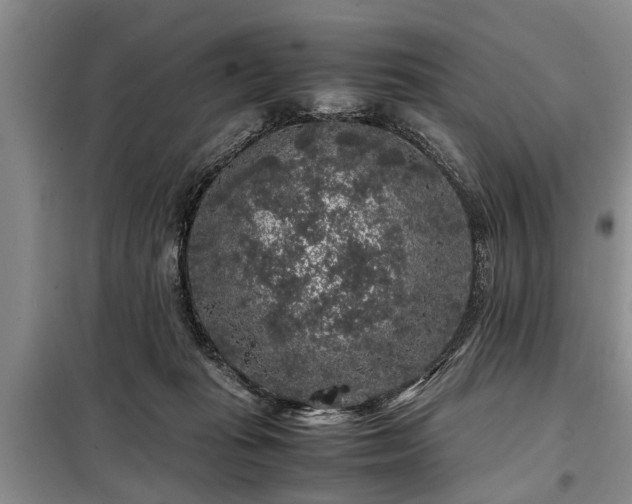 X0000099290269200805090938
