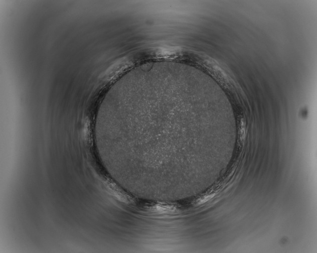 X0000099290270200805090938