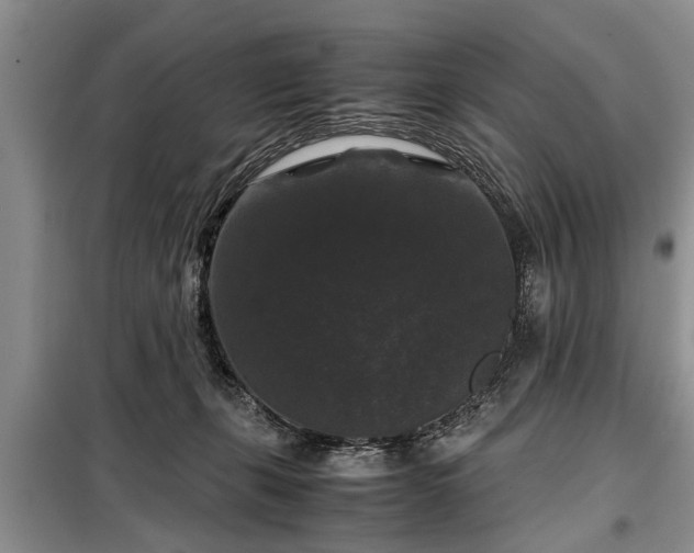 X0000099290271200805090938
