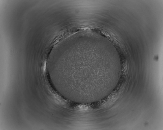 X0000099290272200805090938