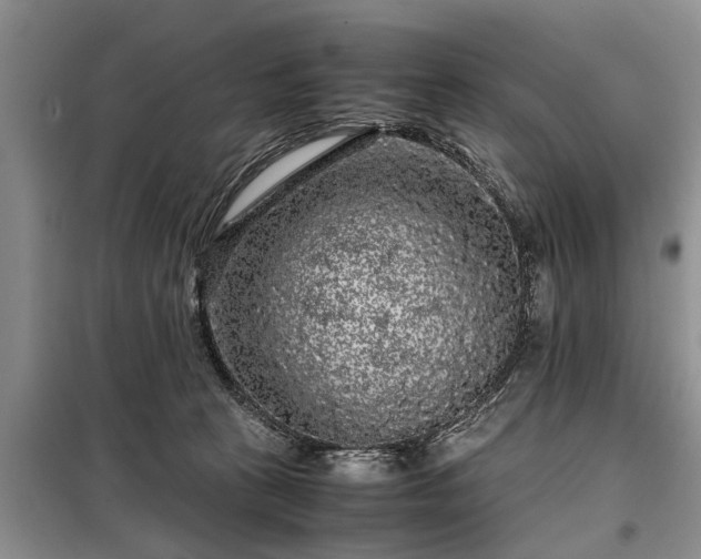 X0000099290273200805090938