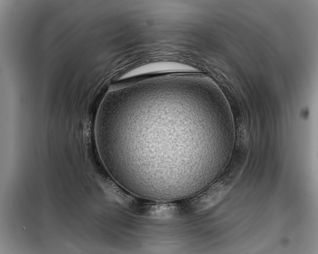 X0000099290274200805090938