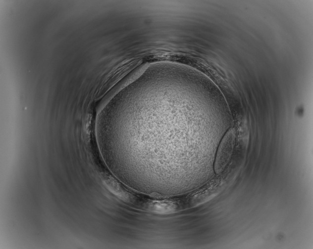 X0000099290275200805090938