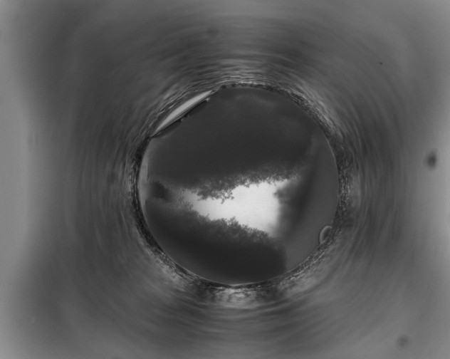 X0000099290277200805090938
