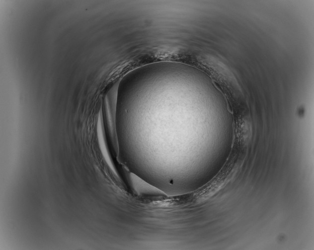 X0000099290280200805090938