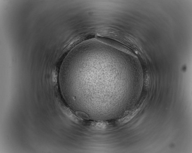 X0000099290282200805090938