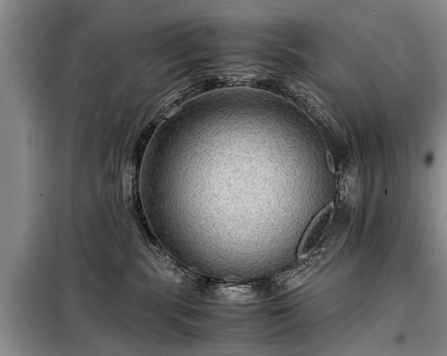 X0000099290283200805090938