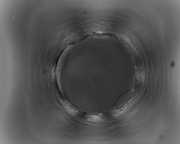 X0000099290285200805090938