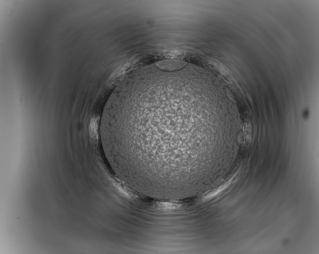 X0000099290286200805090938