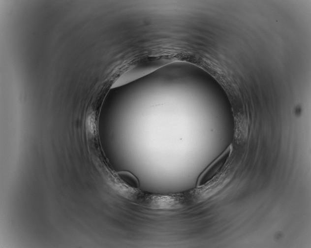 X0000099290287200805090938