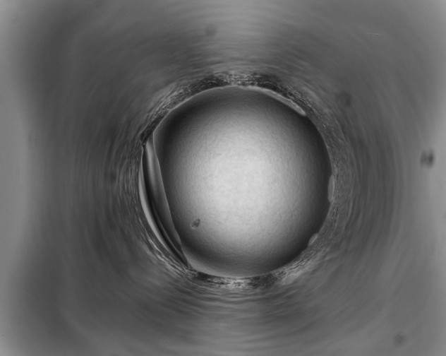 X0000099290288200805090938