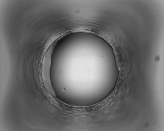 X0000099290289200805090937
