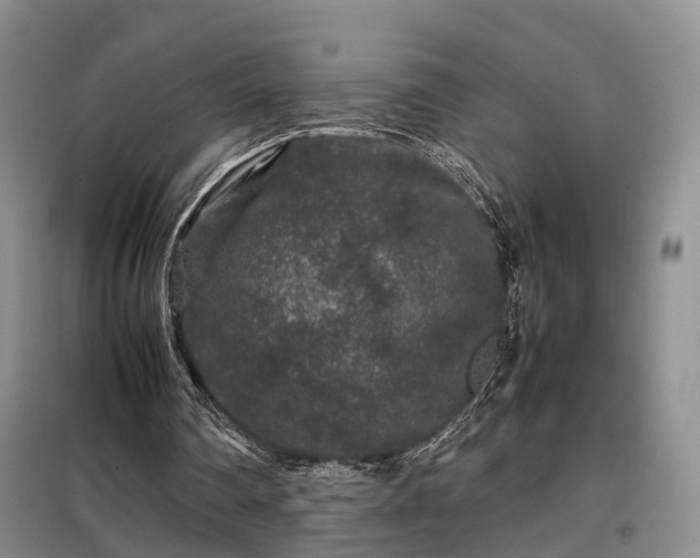 X0000099290290200805090937