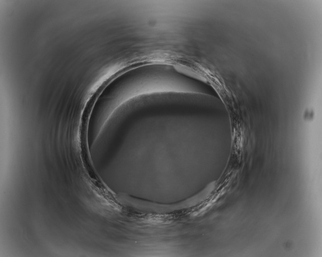 X0000099290292200805090937