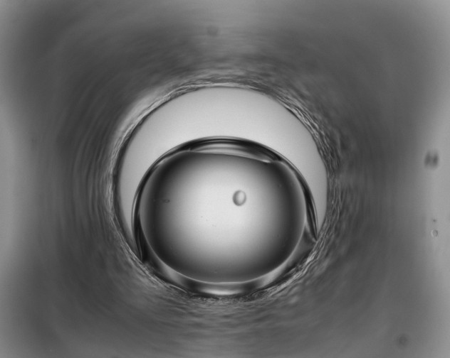 X0000099290293200805090937