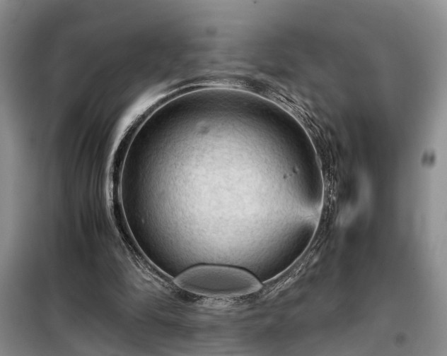 X0000099290294200805090937