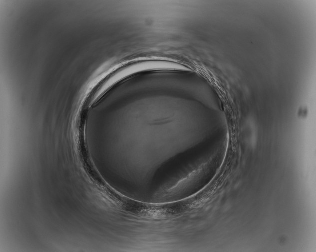 X0000099290295200805090937