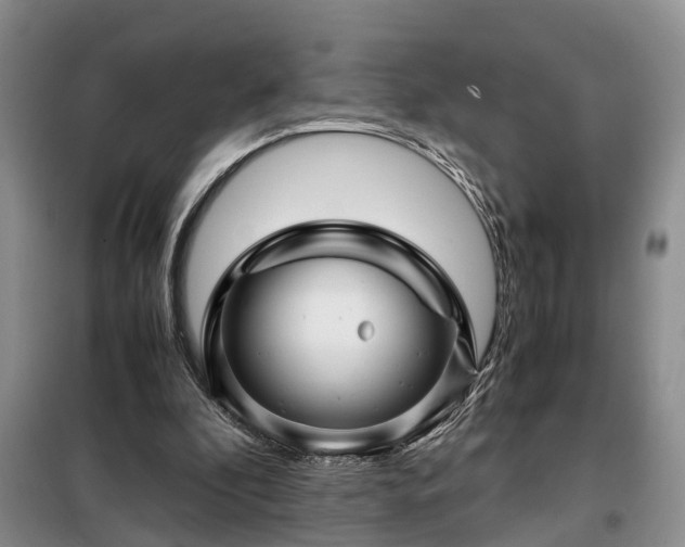 X0000099290296200805090937