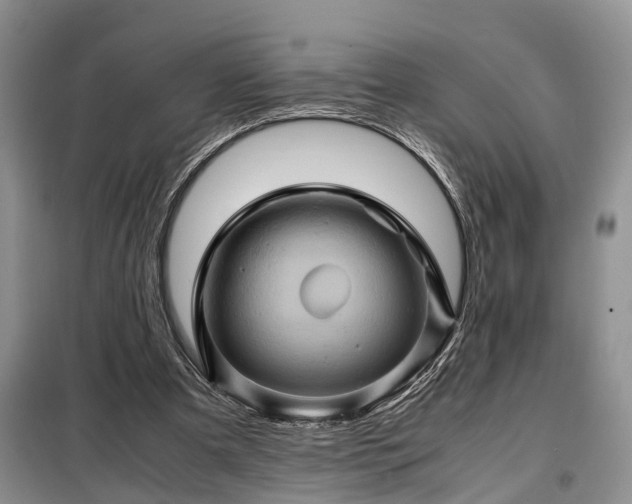 X0000099290297200805090937